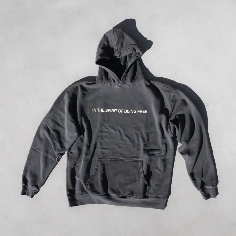 in the spirit hoodie